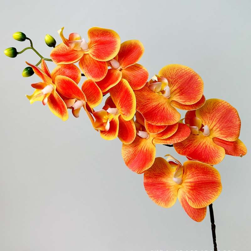 Artificial Phalaenopsis Orchid Stem – 95cm