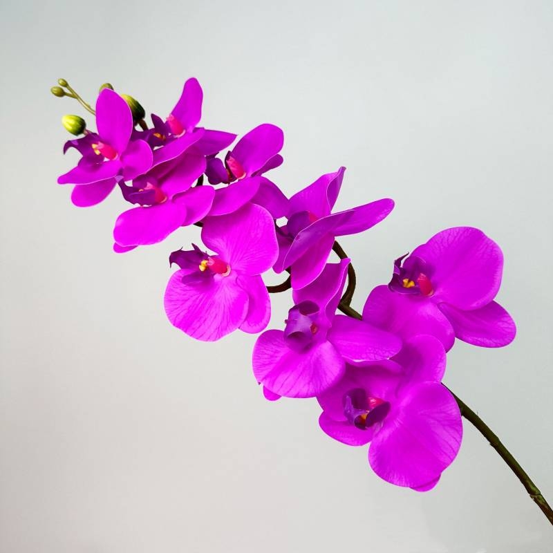 Artificial Phalaenopsis Orchid Stem – 95cm