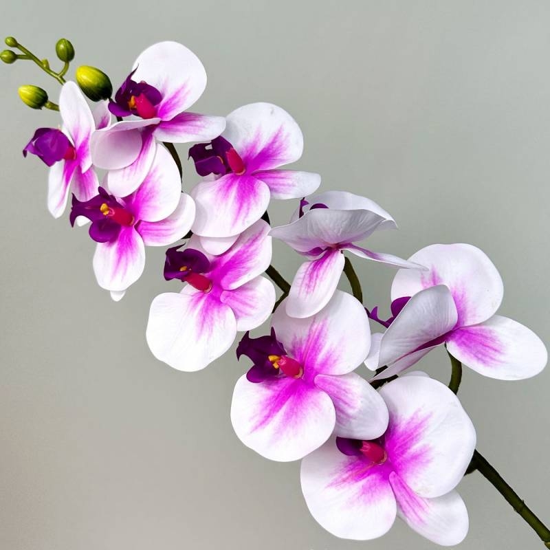 Artificial Phalaenopsis Orchid Stem – 95cm