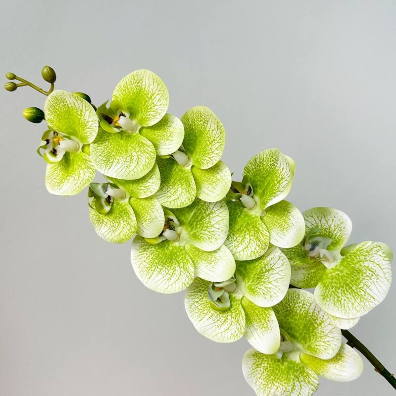 Artificial Phalaenopsis Orchid Stem – 95cm
