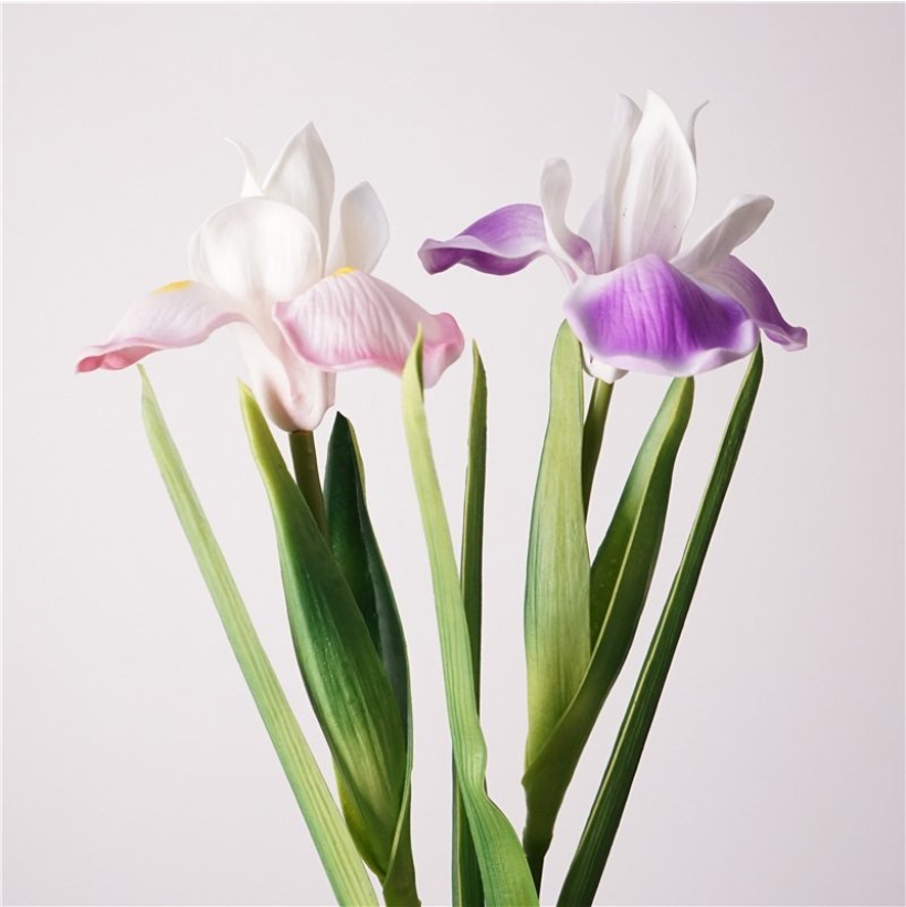 Realistic artificial iris