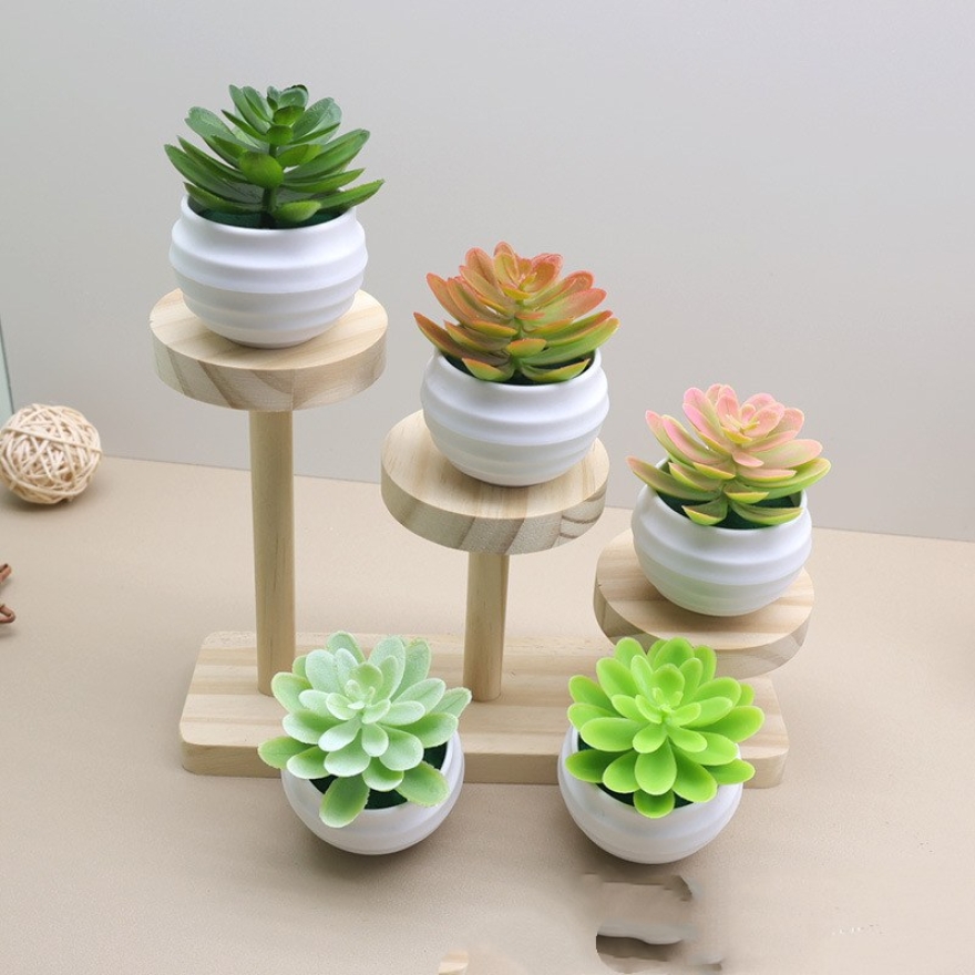 Faux succulent little lotus potted plant